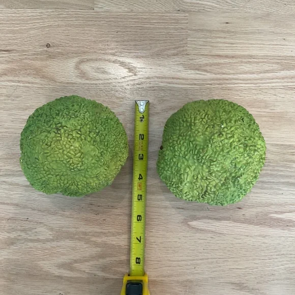 Faux Hedge Apples - Picture 3 of 3